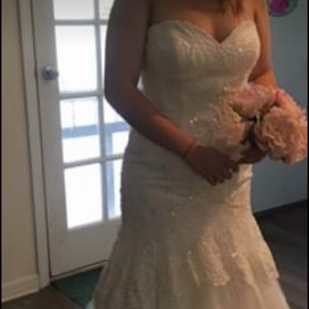David’s Bridal mermaid dress